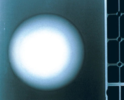 Биоимплантанты