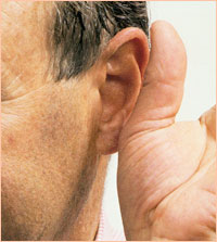 Идеальные пропорции лица 3