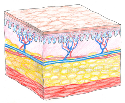 Плазмолифтинг