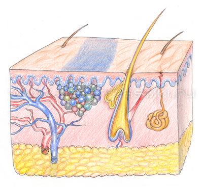 Удаление татуировки лазером